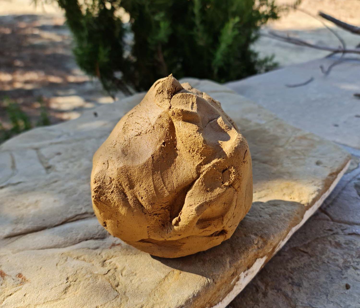 wild clay collected fom the nature